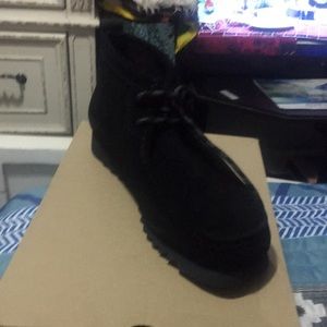 Clark’s Wallabee Fire